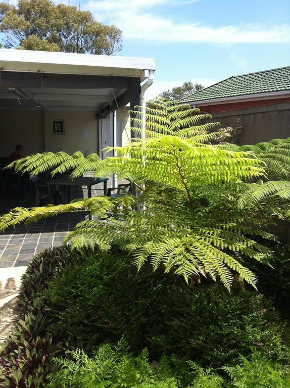 The Crescent Guesthouses - Bnb/Self Catering Durban Exterior foto